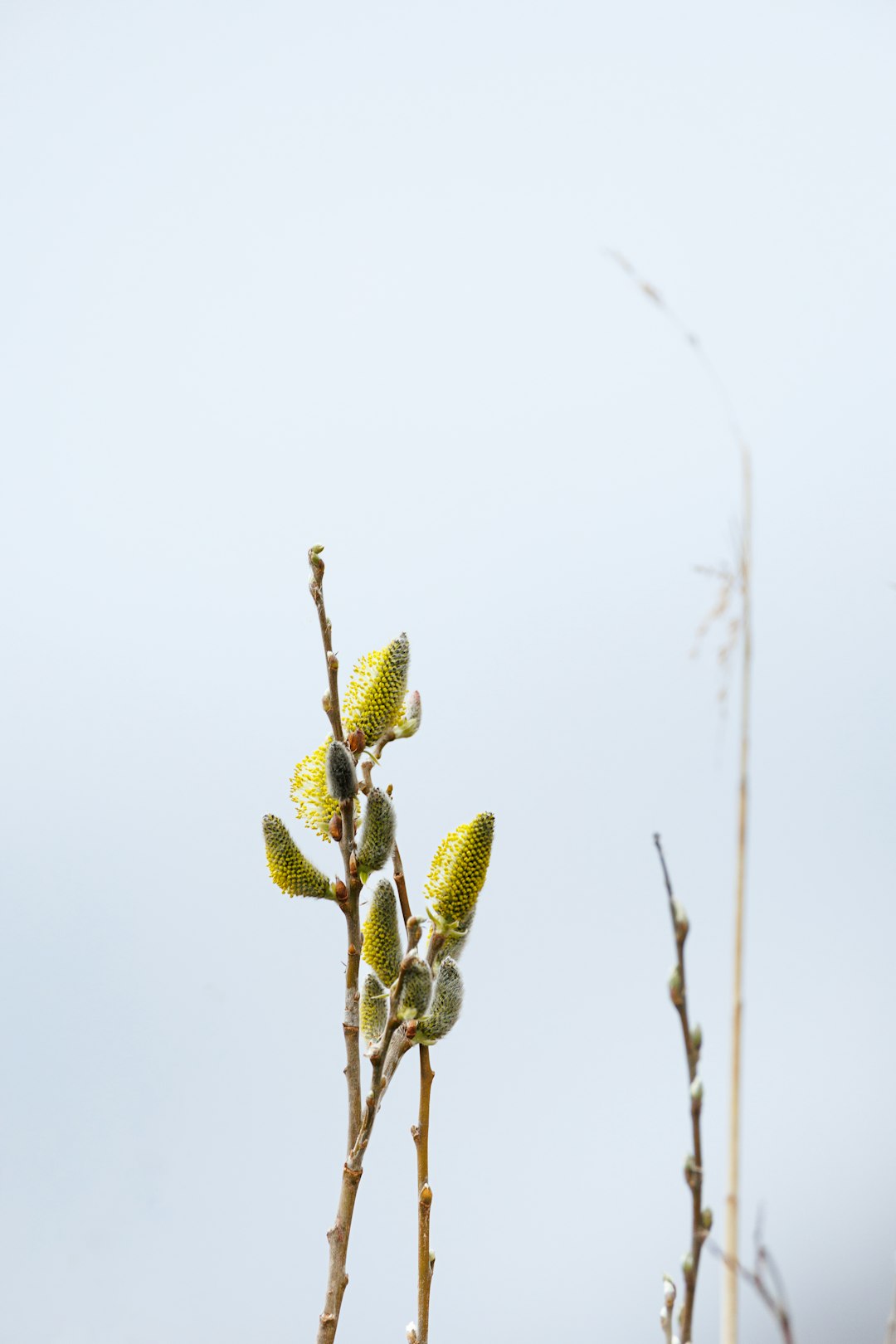 Подготовка отчетности по GRI